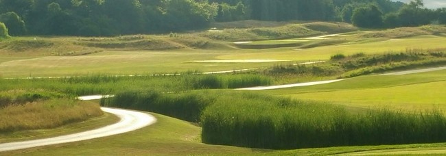 A cart path winds through Shepherd's Crook