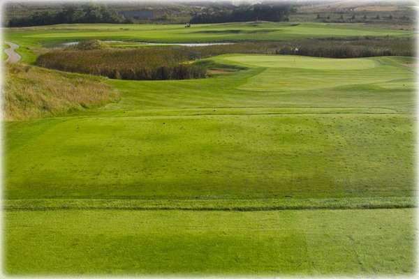 View of the fairway at Shepherd's Crook